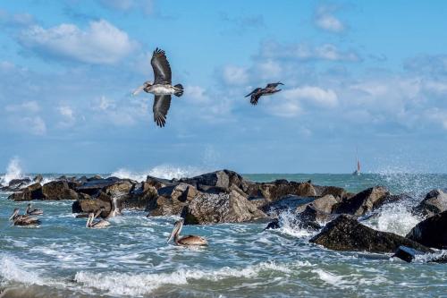2 Bedroom-1.5 Bath Apartment Steps away from Beach & Inlet d in Fort Pierce, USA