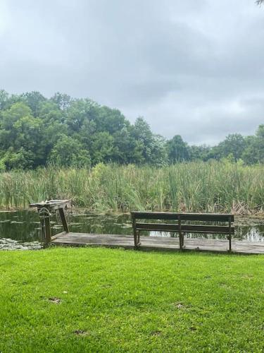 Professor Rousseau's Manatee Bay