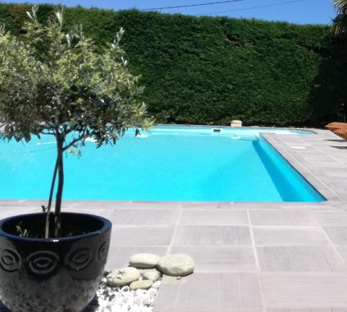 Peldbaseins, Charme au cœur des vignes in Gaja-et-Villedieu