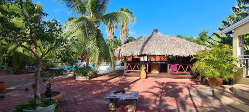 Kert, Woodstock Palmresort Curaçao (Woodstock Palmresort Curacao) in Willemstad városközpont