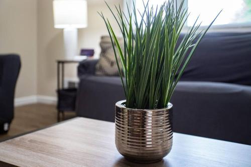 {Quiet Suburban Ranch Hot Tub} Mins Arpt/RIT/DWNT in Rochester, USA