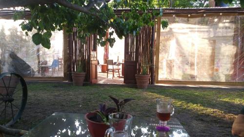 La Casa del Árbol (La Casa del Arbol) in Carmen De Areco