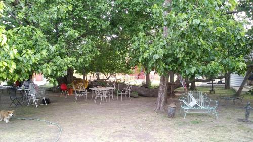 Étterem, La Casa del Árbol (La Casa del Arbol) in Carmen De Areco