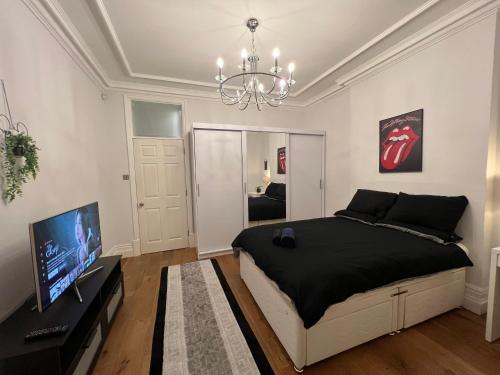 LUXURY SPECIOUS ROOM IN CENTRAL LONDON, London