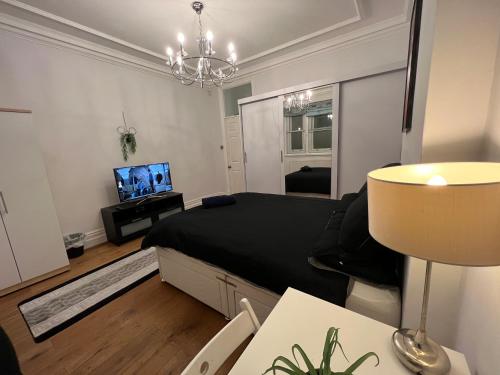 LUXURY SPECIOUS ROOM IN CENTRAL LONDON, Londyn (zdjęcie 3)
