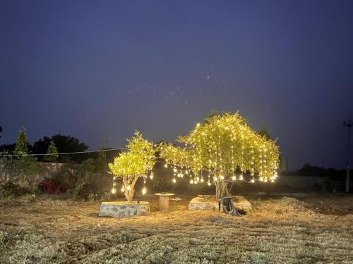 View, FARM & POOL PARTY 2 acre for parties with 2 rooms & bonfire in Gurgaon