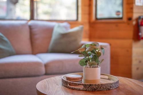 NEW Cozy 2-Bed 2-Bath Sugarloaf Cabin in Sugarloaf, USA