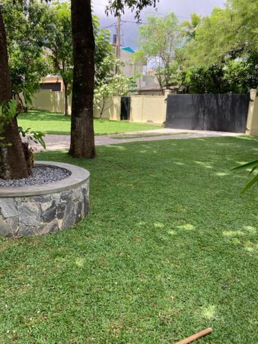 Garden, GREEN Palace in Maharagama