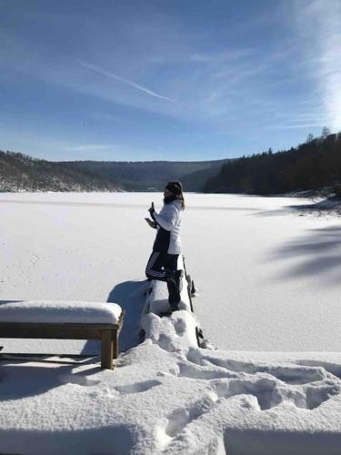 Schwedenchalet am Edersee