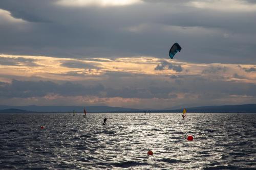 Seepark Weiden - Baumhof