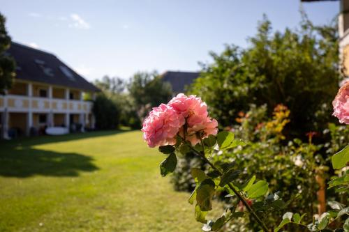 Seepark Weiden - Baumhof