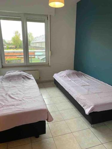 Superbe appartement lumineux et spacieux, Amberes (foto 8)