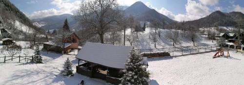 Balkons/terase, Cabana Valea Sadului in Rau Saduluja