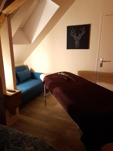Chambre d'hôtes SOPHORA - Les Clés des Lys - image 3