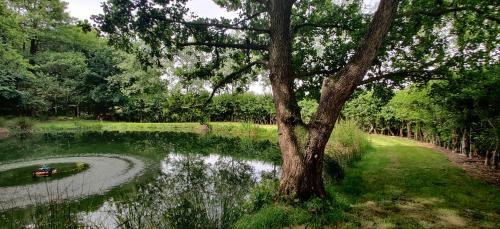 A környék, The Willow Cabin - Wild Escapes Wrenbury off grid glamping - ages 12 and over in Wrenbury