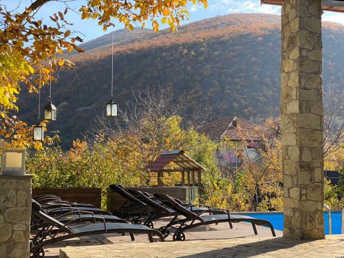 ECO Villa Nichbisi 3BR with pool near Mtskheta