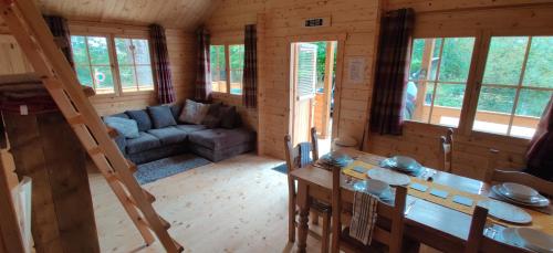 The Willow Cabin - Wild Escapes Wrenbury off grid glamping - ages 12 and over in Wrenbury