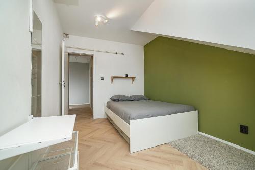 Big 4-bedroom flat, terrace with great Vítkov view, Praha (fotografie 10)