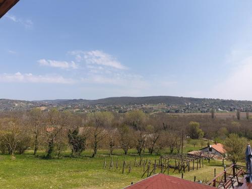 Vilmos Pince Fogado in Egregy