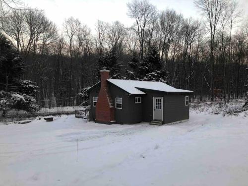 Salmon Creek Cabin - Allegheny National Forest