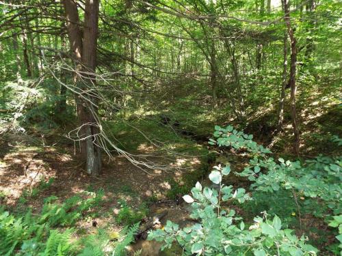 Salmon Creek Cabin - Allegheny National Forest