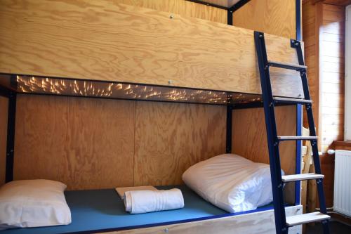 Bed in 8-Bed Dormitory Room