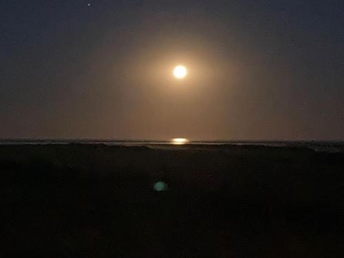  Skønt lille sommerhus på stor privat naturgrund in Sæby