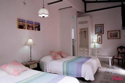 Posada Las Bromelias