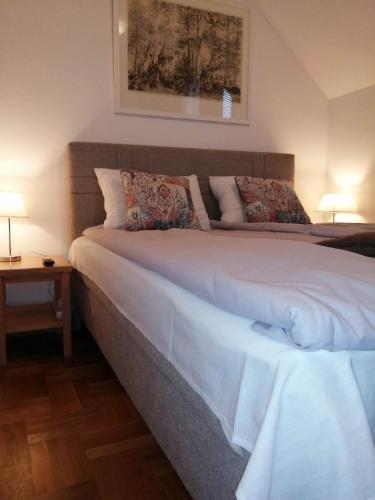 Zlatiborski Konaci K15