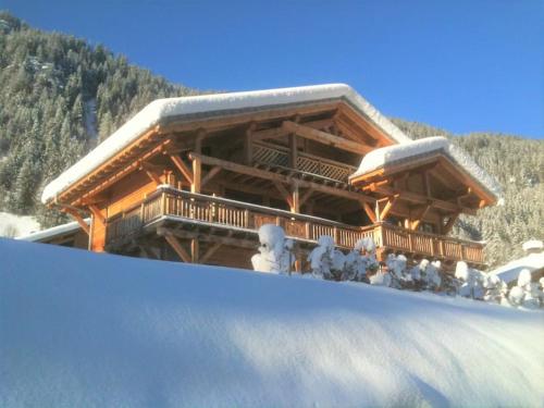 Chalet de montagne style savoyard, vue sur pistes - Location, gîte - Châtel