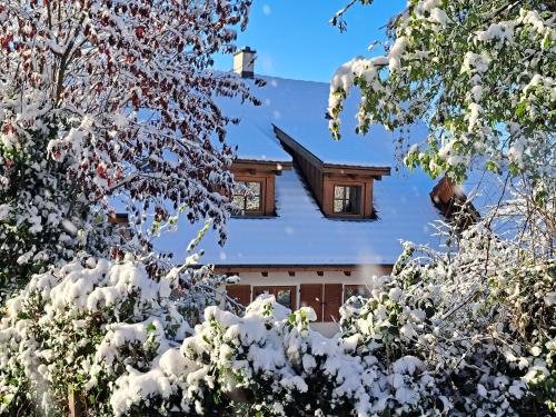 Gemütliche Waldrandlage in Badenweiler Sehringen Ferienwohnung