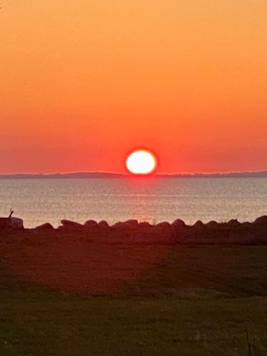 Unikt Sommerhus på Langeland med havudsigt