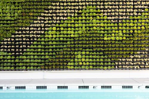 Short Stories Hotel in Los Angeles, USA