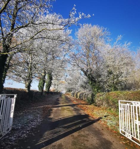 Knockreagh Farm Cottages, Callan, Kilkenny