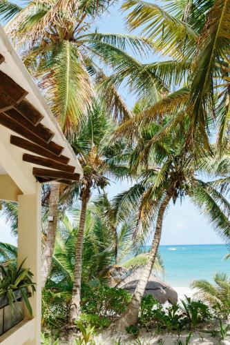 Olas Tulum