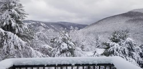 Hunter Mt Amazing Views! near Ski Slopes! Beautiful Catskills! - image 2