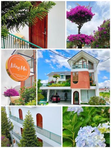 Nắng Mai Homestay