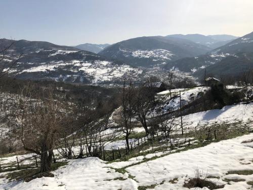 Tarihi Karadeniz Evi