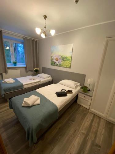 Quadruple Room with Two Bedrooms image 6