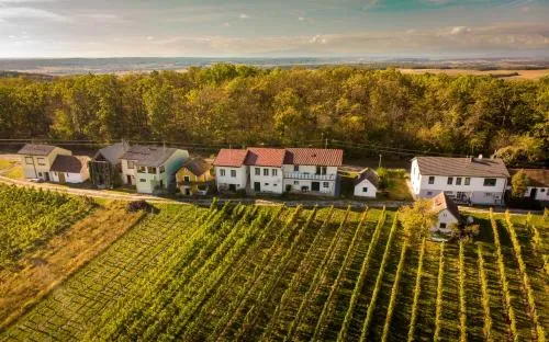 Ferienhaus Szapary I in Eisenberg an der Pinka, Österreich