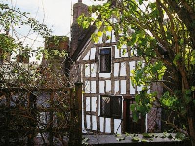 Vista exterior, Mollys Cottage in Knighton