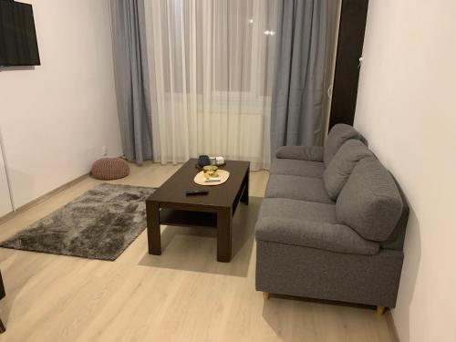 Confort Apartment - Mediaş