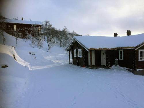 Exterior view, New, Mountain paradise, biking, alpine touring, skiing in & out in Tyinkrysset