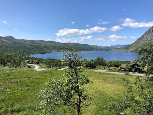 View, New, Mountain paradise, biking, alpine touring, skiing in & out in Tyinkrysset