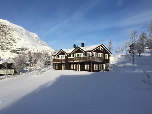 Exterior view, New, Mountain paradise, biking, alpine touring, skiing in & out in Tyinkrysset