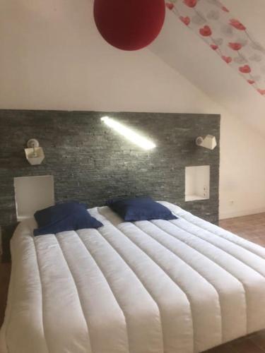 Proche Bioparc Maison avec jardin - Location saisonnière - Doué-en-Anjou