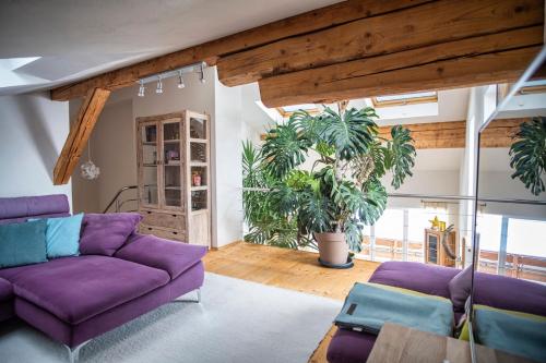 Elchegg - Chalet & Panorama-Loft