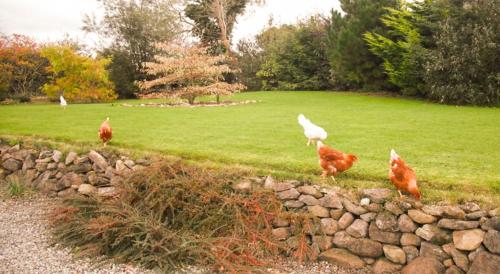 The Well Meadow B&B