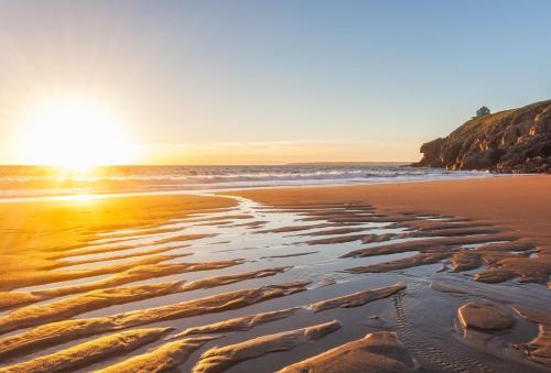 Prospect House - image 10