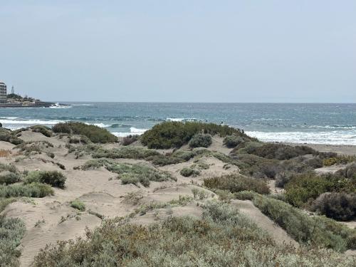 Los Martines beachfront ocean view - Tap to explore photos